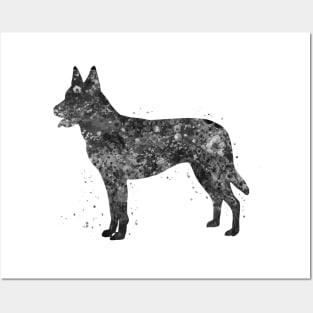 dutch shepherd dog black and white Posters and Art